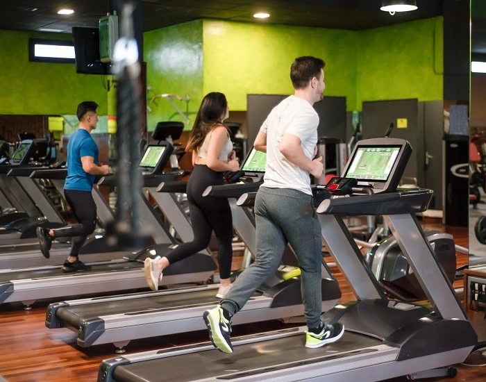 Dezhou Xinzhen Fitness Equipment Co.,Ltd.