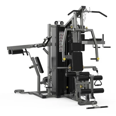 Five Function Gym Station