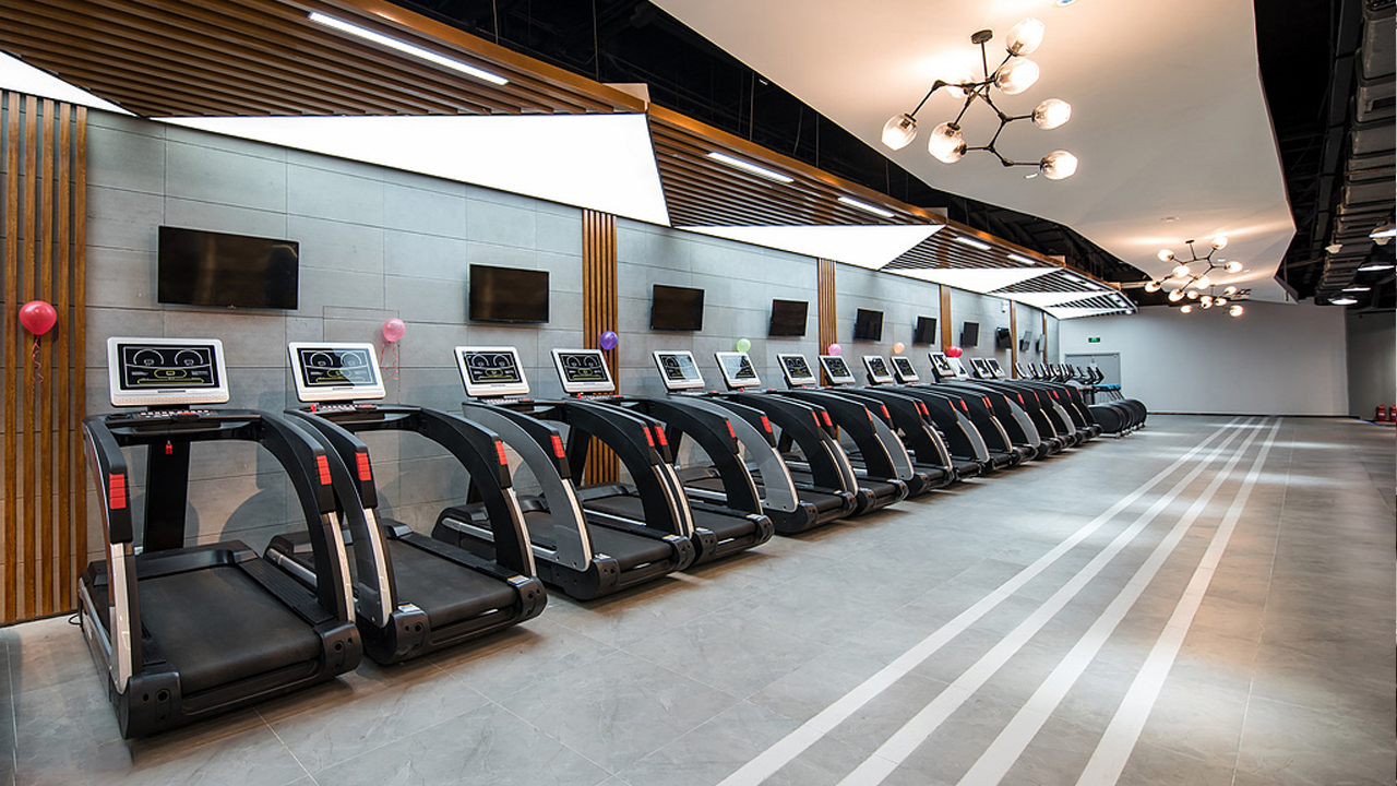 SHANDONG LAND FITNESS TECH CO., LTD equipment 2